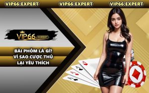 Bài Phỏm Là Gì? Vì Sao Cược Thủ Lại Yêu Thích