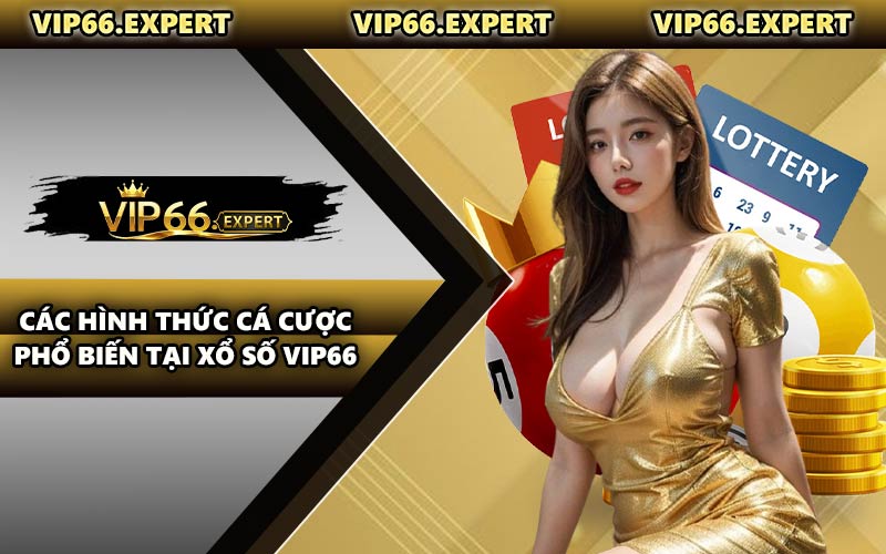 Các Hình Thức Cá Cược Phổ Biến Tại Xổ Số VIP66
