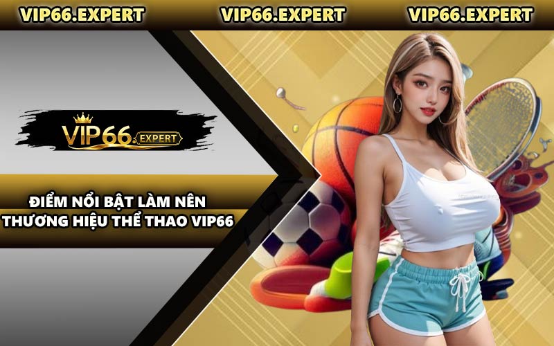 Điểm Nổi Bật Làm Nên Thương Hiệu Thể Thao VIP66