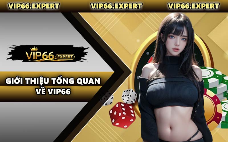Giới Thiệu Tổng Quan Về VIP66