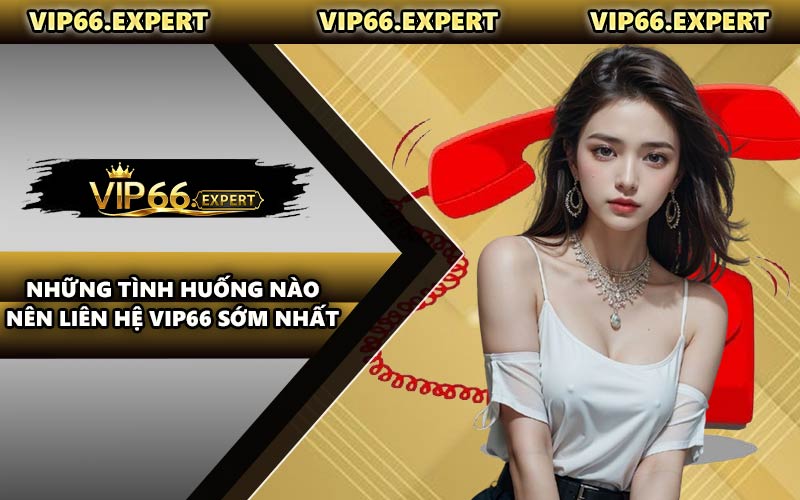 Những Tình Huống Nào Nên Liên Hệ VIP66 Sớm Nhất