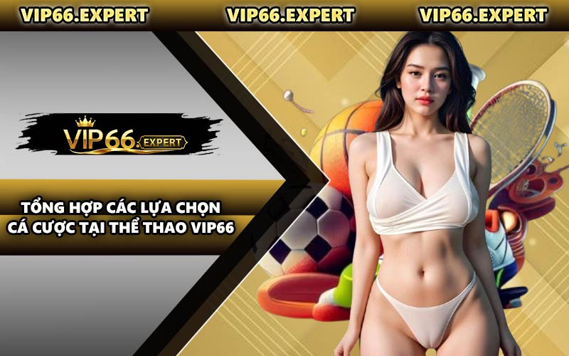 Tổng Hợp Các Lựa Chọn Cá Cược Tại Thể Thao VIP66