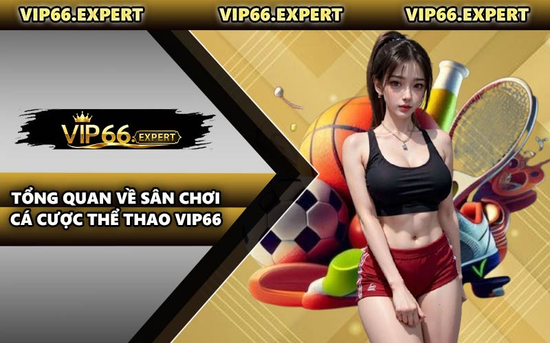 Tổng Quan Về Sân Chơi Cá Cược Thể Thao VIP66