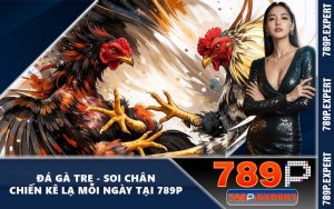 Đá Gà Tre - Soi Chân Chiến Kê Lạ Mỗi Ngày Tại 789P