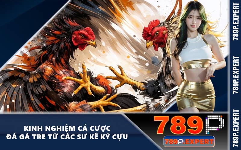 Kinh Nghiệm Cá Cược Đá Gà Tre Từ Các Sư Kê Kỳ Cựu